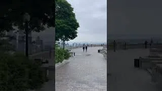 Miniature : Petit passage au Mont Royal pour admirer la vue 🥰