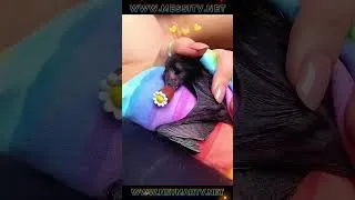 Miniature : UNE FEMME SAUVE UNE CHAUVE-SOURIS ET L’ÉLÈVE AVEC AMOUR #shorts #trending #reels