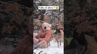 Miniature : 2 foufous à la neige 😂 #chienvanlife