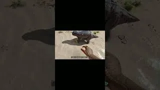 Miniature : Pauvre Lystrosaure et en plus il accepte son nom 🤣 #arksurvivalascended #arksurvivalevolved #ark