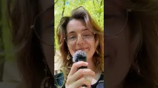 Miniature : 🌳 Balade 🌳  #asmr #asmrfr #asmroutside