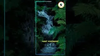 Miniature : c'est tout autre chose...