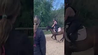 Miniature : 7 mois à mes côtés, uniquement 5 mois de travail ! #equitation #fails  #cheval #cso #viral #horse