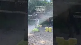 Miniature : Séance de saut #cheval #horse #jumping #cso #viral #equitation #animaux #equestrian #obstacles