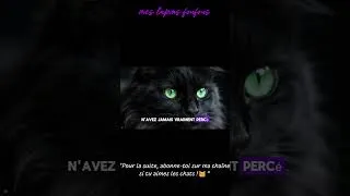 Miniature : Les chats miaulent pour NOUS (la science explique tout) (extrait)