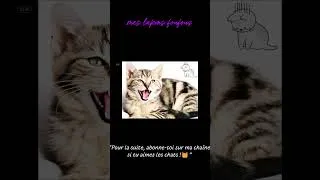 Miniature : "Le Chat devenu orphelin : Une Histoire Sans Paroles de l'Attente Infinie" (extrait)