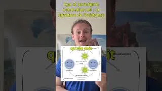 Miniature : [10/11] Ego et paradigme informationnel, la structure de l’existence / Systémie de l'esprit