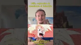Miniature : [9/11] Défis, expansion de conscience et holarchie / Systémie de l'esprit