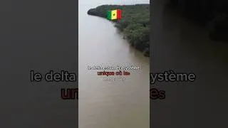Miniature : La beauté du Senegal !🇸🇳 video complète sur la chaîne YouTube @metahistory221