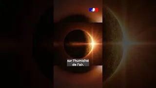 Miniature : 🕶️🌒Quels sont les impacts d’une éclipse solaire sur la France ? On vous explique :