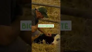Miniature : Sans la nature, un agriculteur ne peut pas travailler 🪺