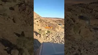 Miniature : Descente épique Maroc 2026 💚#maroco #roadtrip