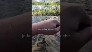 Miniature : Un monstre de 55+ !!⚡️#pêche #truite