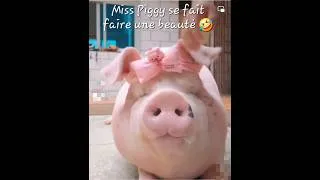 Miniature : Miss Piggy se fait faire une beauté 🤣