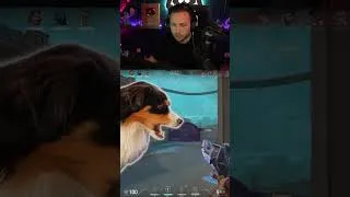 Miniature : PAUVRE TOUTOU ! 😭​😭​