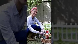 Miniature : 🌱 🥕🫛 🍅 #Permaculture #Jardinage #Potager #AssociationsDeLégumes #CultureDeLégumes #AstucesJardinage