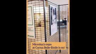 Miniature : Expo sur l'impact social de microlux au Cactus Belle-Etoile