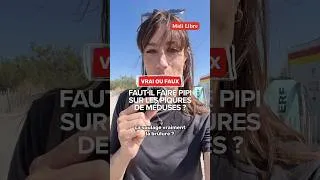 Miniature : Faut-il faire pipi sur une piqûre de méduse pour soulager la brûlure ?