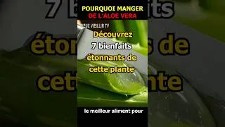 Miniature : Pourquoi faut il manger de l'aloe vera ?