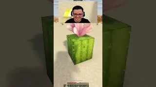 Miniature : Retour sur Minecraft, on a rien perdu de notre skill... ou pas 😭