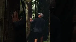 Miniature : 30 ans après, je retourne en Amazonie pour voir si la colonie de Velho Airão existe encore.