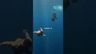 Miniature : LE RÉEL AQUAMAN