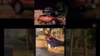 Miniature : Most Funny Videos Compilation#HumourYouTube #ComédieYouTube #VidéosDrôles #RiresGarantis #usa #viral