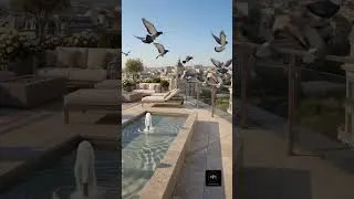 Miniature : Le cinquième Chapitre : ici, ce n'est plus un oiseau qui décore c'est un vrai oiseau qui se pose