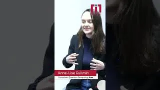 Miniature : Le quantique pour quelles problématiques