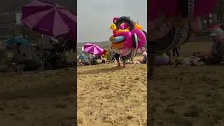 Miniature : Playa Agadir Beach