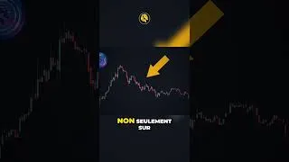 Miniature : LES 6 CHOSES À FAIRE POUR PROFITER DES BULLRUNS