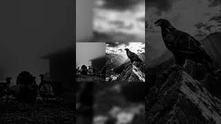 Miniature : Le leadership de l'aigle: forcer le vol, pas la chute