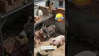 Miniature : Funny video #funny #viral #short #comics #foryou