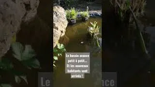 Miniature : 27 avril 2023