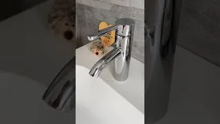 Miniature : Nettoyage salle de bain 🧼