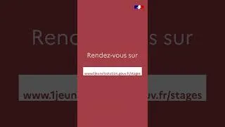 Miniature : Découvrez notre moteur de recherche de stage !