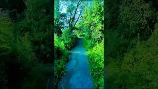 Miniature : Balade sur la Rivière des Prairies Montréal (3) #shorts