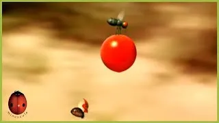 Miniature : Cherry Tomato | Minuscule | S01E77