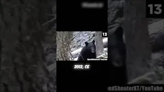 Miniature : Un mystérieux homme chien apparait dans les bois