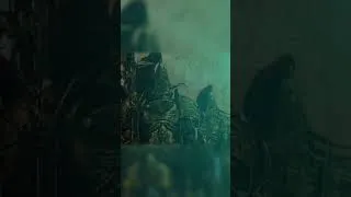 Miniature : Even the emperor has days like this