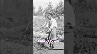 Miniature : Le tuyau