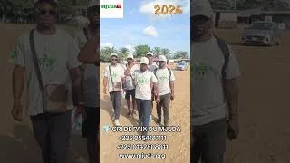 Miniature : 💎 LE GRAND CRI DE PAIX DU MJUDA 💎