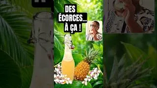 Miniature : Ne jette plus tes écorces d’ananas trop vite… #antigaspi #faitmaison