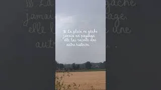 Miniature : Enfin… la pluie. 🌧️
