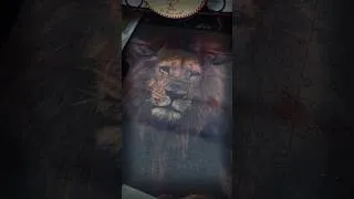 Miniature : Il me motive pendant que je bosse sur mes prochaines vidéos ^^^^ #motivation #humour #fyp #lion