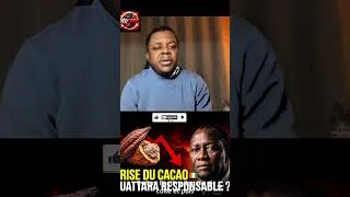 Miniature : Crise du cacao en Côte d’Ivoire : Alassane Ouattara mis en cause ?