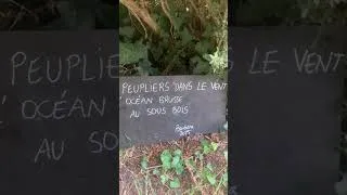 Miniature : Haïkus Sebourg 2025