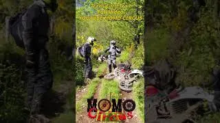 Miniature : TransEuroTrail 2022 Momo Circus