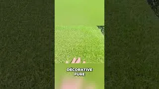 Miniature : Gazon artificiel réaliste : 3 tons verts, brossé vs non brossé ! #shorts