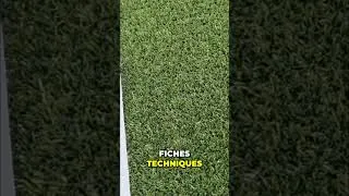 Miniature : Votre pelouse PLUS FRAÎCHE cet été: La Révolution! #shorts